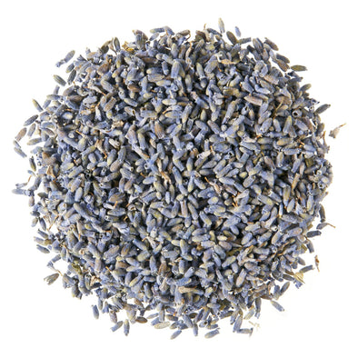 French Lavender (Wholesale)